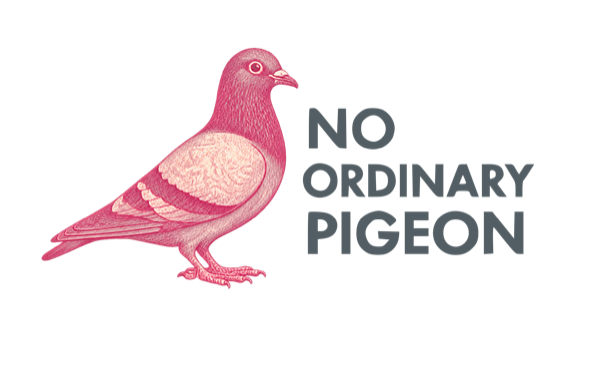 No Ordinary Pigeon
